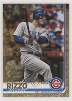 Anthony Rizzo #/2,019