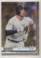 Greg Bird #/2,019