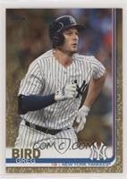 Greg Bird #/2,019