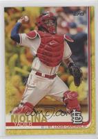 Yadier Molina [EX to NM]