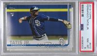 Fernando Tatis Jr. (Dark Uniform) [PSA 8 NM‑MT]