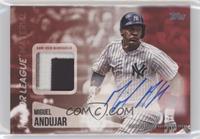 Miguel Andujar #/25