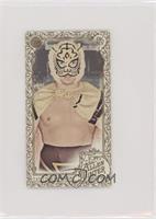 1st Tiger Mask