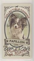 Papillon