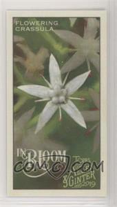 2019 Topps Allen & Ginter's - In Bloom Minis #IB-10 - Flowering Crassula