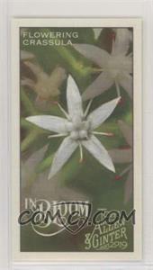 2019 Topps Allen & Ginter's - In Bloom Minis #IB-10 - Flowering Crassula