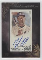 Miguel Andujar #/25