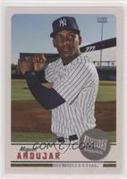 Miguel Andujar