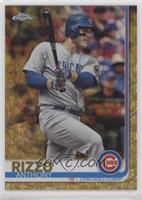 Anthony Rizzo #/50