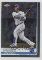 Salvador Perez