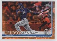 Manny Margot #/25