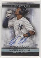 Miguel Andujar #/25