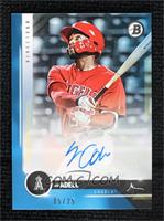 Jo Adell #/25