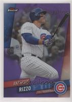 Anthony Rizzo #/250