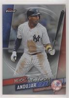 Miguel Andujar