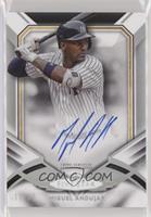 Miguel Andujar #/25