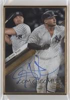 Luke Voit #/75