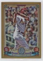 Matt Carpenter #/50