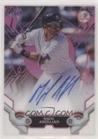 Miguel Andujar #/75