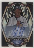 Miguel Andujar [EX to NM] #/50