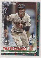 Mike Yastrzemski