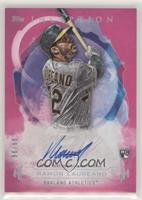 Ramon Laureano #/99