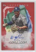 Willy Adames #/75