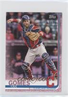 Yan Gomes #/25