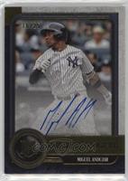 Miguel Andujar #/25