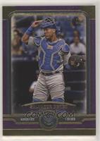 Salvador Perez #/99