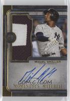 Miguel Andujar #/5