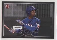 Leody Taveras #/2,500