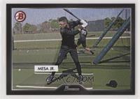 Victor Mesa Jr. #/2,500