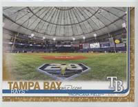 Tropicana Field #/10