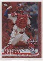 Yadier Molina