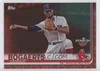 Xander Bogaerts