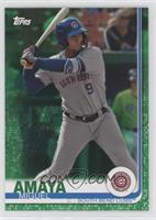 Miguel Amaya #/99