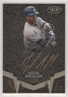 Miguel Andujar #/25