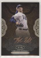 Blake Snell #/25