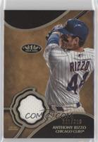 Anthony Rizzo #/399