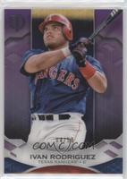 Ivan Rodriguez #/50