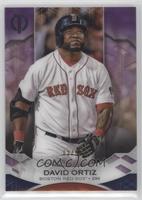 David Ortiz #/50