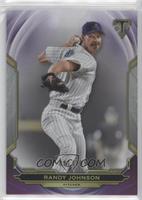 Randy Johnson [EX to NM] #/299