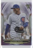 Anthony Rizzo #/299