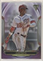 Juan Soto #/299