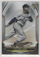 Ted Williams #/50