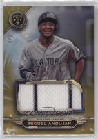 Miguel Andujar #/9