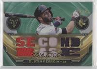 Dustin Pedroia #/18