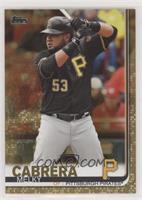 Melky Cabrera #/2,019