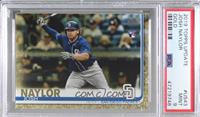 Josh Naylor [PSA 9 MINT] #/2,019